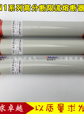 RN1-10/-100A125A160A180A200A高分断能力高压限流熔断器10KV/RN3
