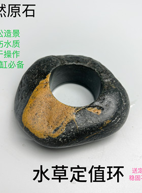 天然原石水草定值环 稳固根系不伤草 轻松造景新手养鱼神器！