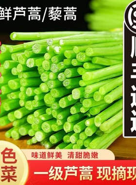 【顺丰包邮】鲜嫩芦蒿切根去叶当季新鲜芦蒿藜蒿黎蒿蔬菜现摘现发