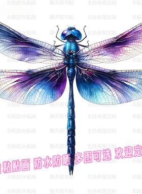 彩色蜻蜓贴纸防水自粘贴画装饰车身行李箱厨房冰箱门卫生间儿童房