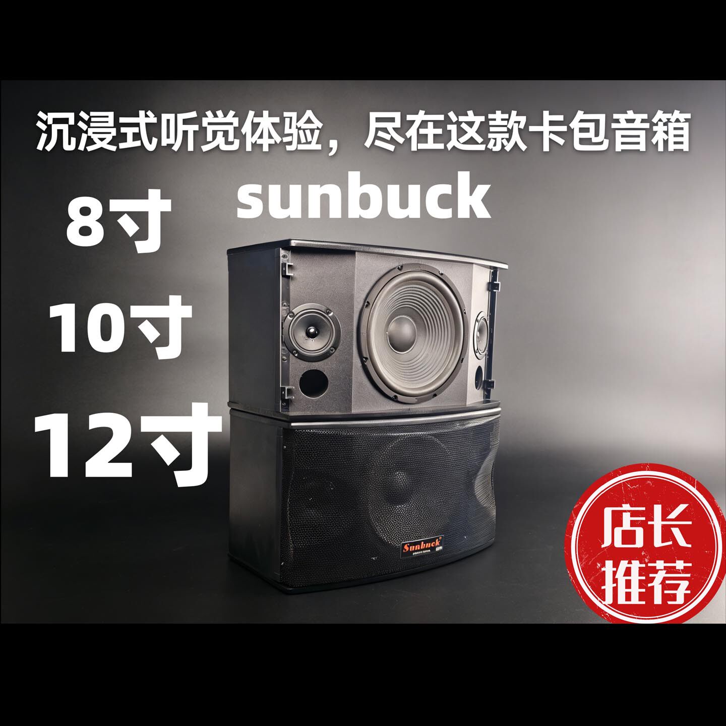 专业卡拉OK卡包一对音箱家用KTV音箱左右声道8寸10寸12寸会议音响