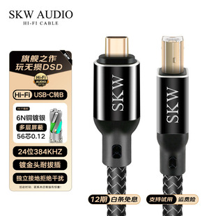 B解码 c对USB 线dac电脑声卡线 高端OTG线发烧单晶铜镀银Type SKW