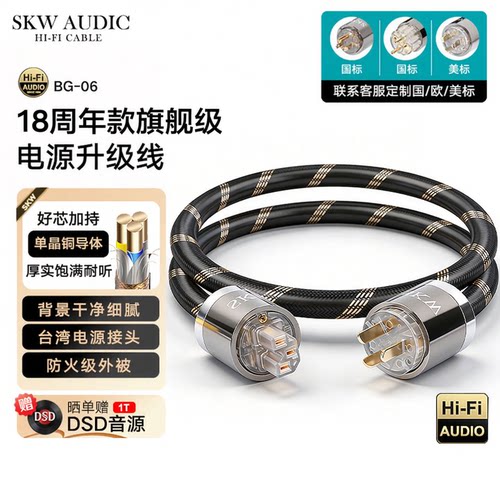 SKW发烧单晶铜升级电源线国美标
