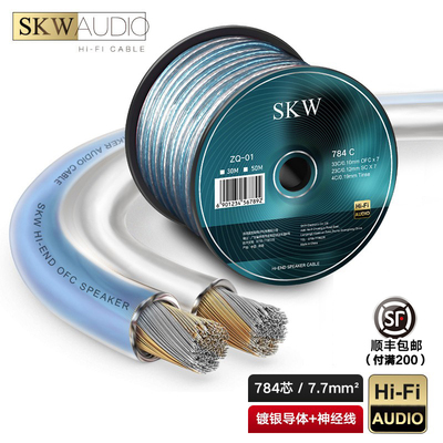 SKW发烧级喇叭线工程线5.1声道