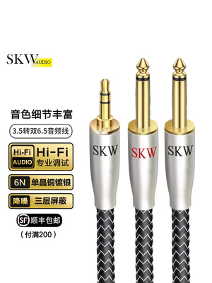 SKW 高端发烧单晶铜镀银3.5转双6.5线大二芯手机电脑调音台音响线