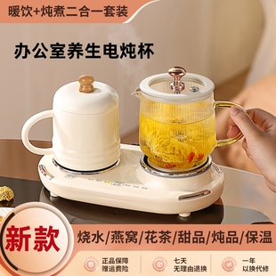 多功能女神养生杯迷你办公室小型家用新款智能炖煮保温水果花茶杯
