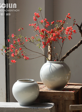 新款手工景德镇陶瓷花瓶摆件家居家装饰白色月亮罐插花盆水培种植