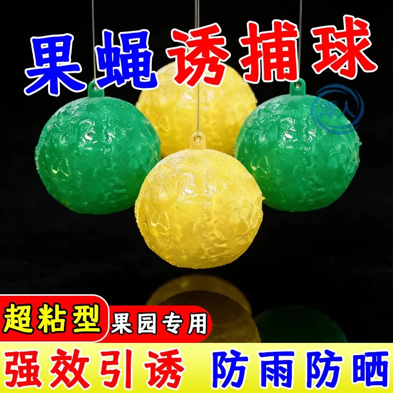 柑橘果园诱蝇球果实蝇丝瓜诱蝇球针蜂诱捕球果树粘虫球诱蝇球