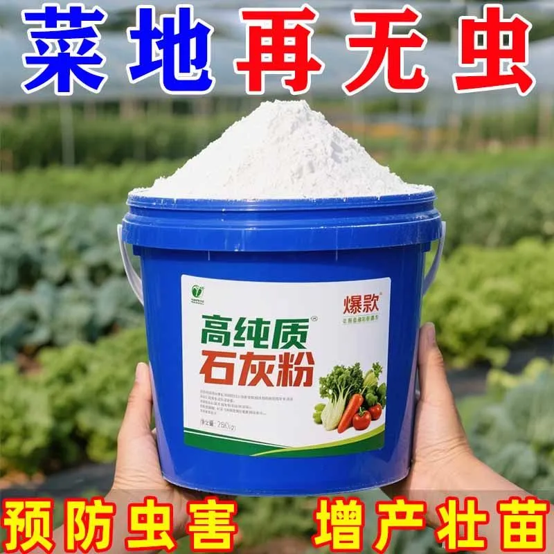 种菜生石灰粉非消毒剂非杀虫剂干燥剂改鱼塘良土壤石灰块除湿刷墙
