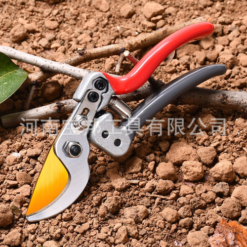 宝邦新款SK5金色黑刃盆景修枝剪摘果剪刀园林树枝剪省力果枝剪