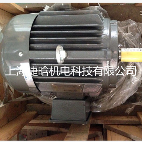 上海电机 YX3-200L1-2 30KW IP55 F级三相异步电动机