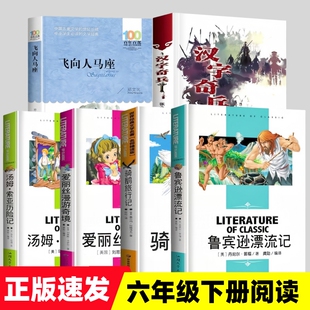 鲁滨逊漂流记汉字奇兵张之路飞向人马座郑文光骑鹅旅行记汤姆索亚历险记爱丽丝漫游奇境六年级下册推荐必名师精读书目课外书正版籍