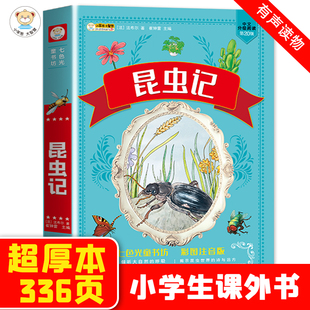 法布尔昆虫记小学生注音版彩图昆虫记三年级下册必正版原著完整版读课外书目四推荐阅读书籍中外名著读物畅销书七色光童书坊