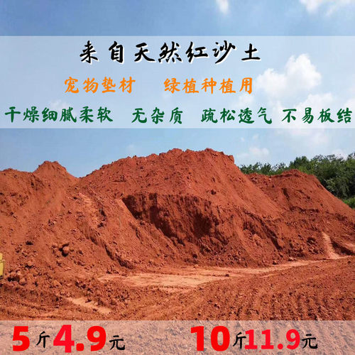纯天然乌龟冬眠红沙土无菌