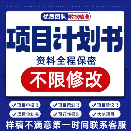 项目计划书商业策划建议企划申报书可行性报告大创项目PPT制作