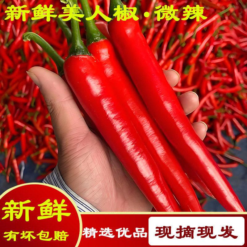 新鲜红辣椒美人椒大红椒微辣剁椒泡椒红尖椒非二荆条小米