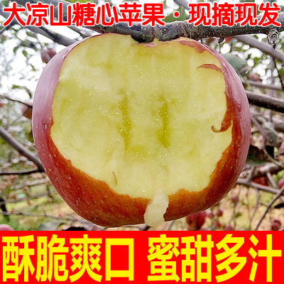 现摘大凉山盐源丑苹果红富士