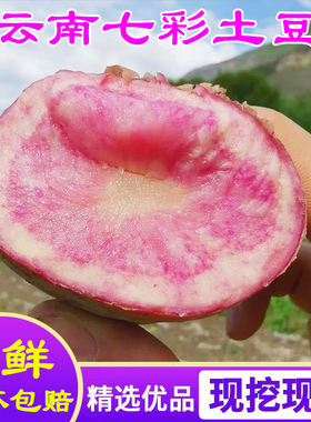 云南七彩土豆花土豆新鲜丽江花心紫皮红皮高山紫色马铃薯洋芋