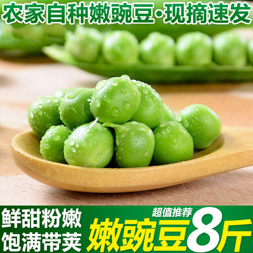 甜豌豆荚质量怎么样 甜豌豆荚口碑怎么样 小麦优选