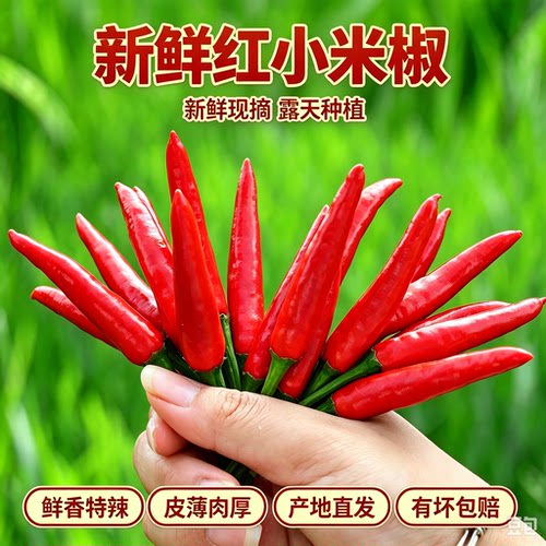 贵州新鲜小米椒小米辣朝天椒小尖椒现摘现发特辣红小米椒