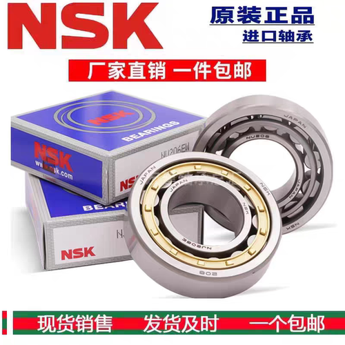进口NSK轴承大全 NJ230 NJ232 N234 NJ236 NJN E W EW M EM ET/C3