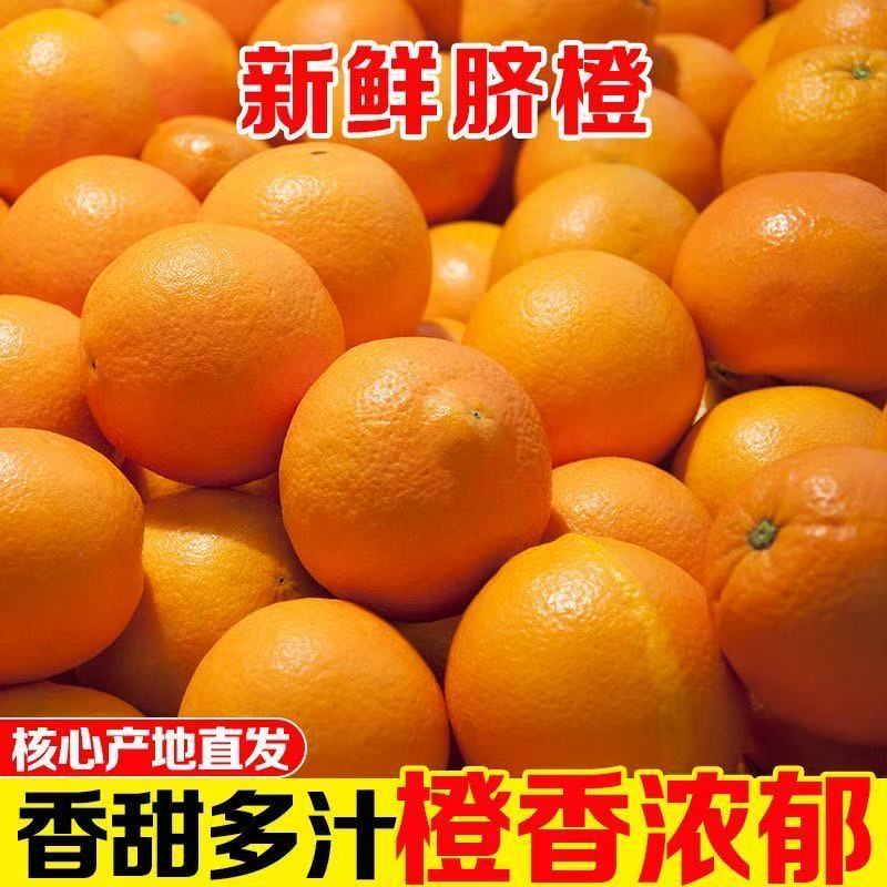 正宗湖北秭归纽荷尔脐橙果园现采直发当季新鲜水果