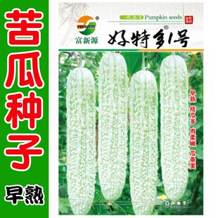 早中熟苦瓜种子白皮长苦瓜籽种子白苦瓜种子春夏秋种植蔬菜籽种子