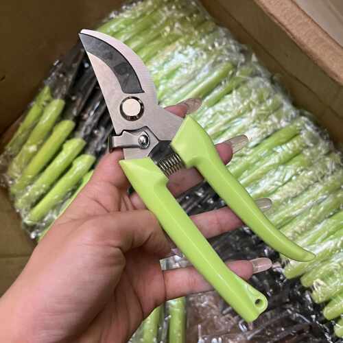 粗枝剪园林家用摘果剪