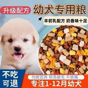 狗粮幼犬专用10斤小型犬奶糕泰迪比熊柯基金毛拉布拉多幼狗通用型