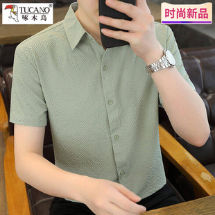 啄木鸟夏季短袖衬衫外套时尚透气泡泡纱男士纯色上衣潮流翻领男装