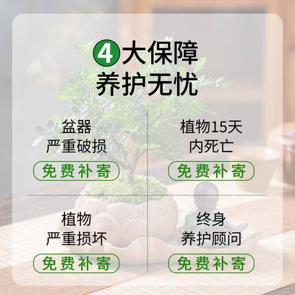 补发-定制专拍-补发-非本店
