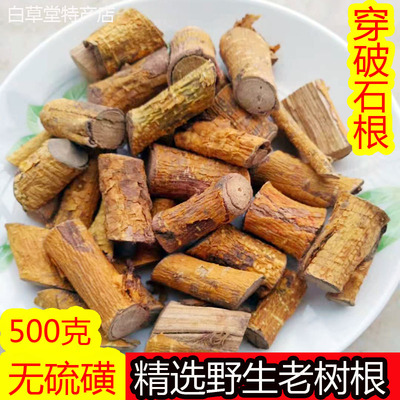 野生穿破石广西可磨粉中药材