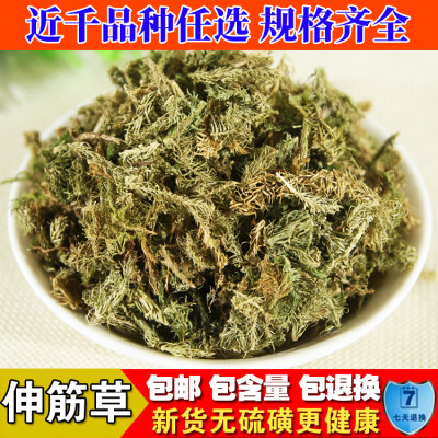 中药材伸筋草益智仁舒筋草中药材