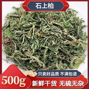 新货石上柏500g中药材石柏新鲜干货岩柏草金龙草地柏草地侧柏