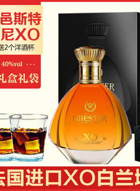 xo法国进口洋酒杯礼袋40度brandy