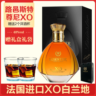 路邑斯特白兰地法国进口XO洋酒brandy送洋酒杯礼盒40度烈酒700ml