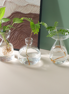 日式牛油果水培花瓶牛油果种子果核水养透明玻璃瓶子水培器皿植物