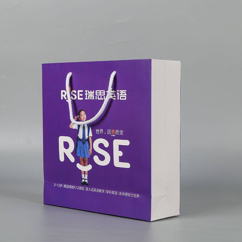 手提袋定制纸袋印刷logo公司会议展会宣传伴手礼品袋包装袋子定做