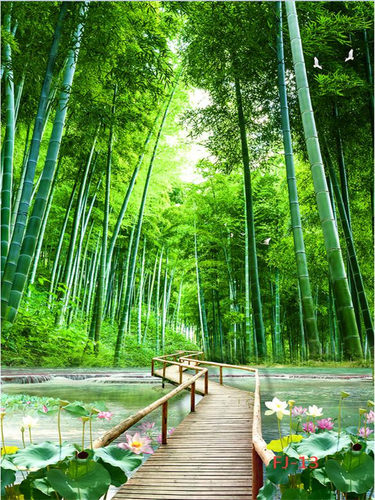 新款可移动立体主播墙布3D山水大草原竹林室外风景主播直播背景布