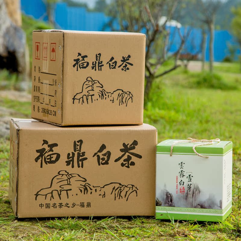一级精选高山福鼎白茶散茶贡眉