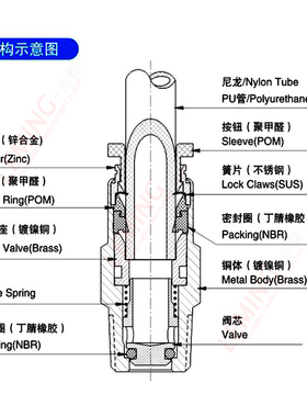 气管单向阀止回逆止阀CVPC04/6/8x/10/12-M5/01/2/3/4气动快速接