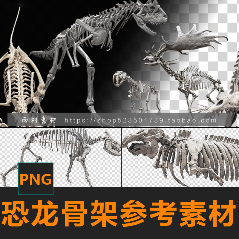 恐龙骨架原始生物化石cg绘画参考ps场景合成素材matte painting