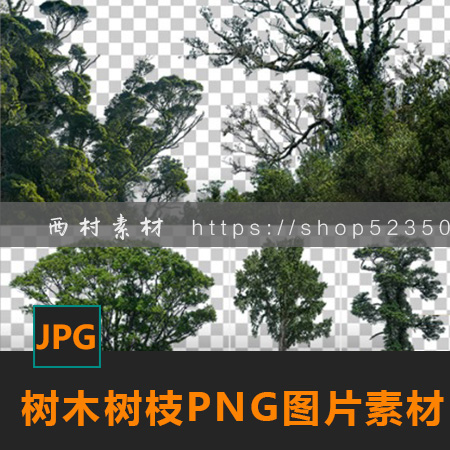 免抠PNG大树木树枝CG绘画参考PS场景合成素材matte painting