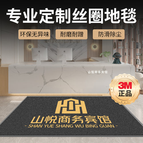 3m地毯地垫朗美地垫丝圈门厅