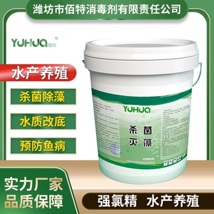 强氯精水产养殖改底清塘鱼塘杀菌剂三氯异氰尿酸泳池消毒片鱼池用