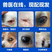 Pet dog cat eye eye eye eye dog viêm kết mạc viêm giác mạc mí mắt thứ ba kháng khuẩn nổi bật kháng viêm - Cat / Dog Beauty & Cleaning Supplies