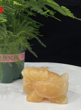 玉乡之源玉祝福新中式办公室龙龟