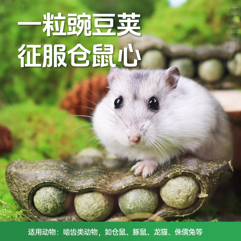 Teewy萃微益仓鼠零食磨牙棒豌豆荚子玩具造景营养自然金丝熊龙猫