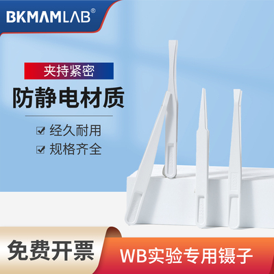 比克曼生物WB专用镊子
