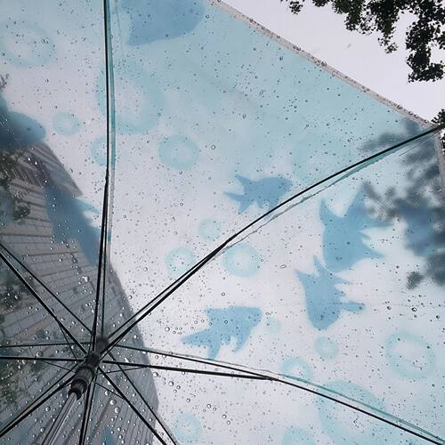 梦核小鱼透明自动折叠晴雨伞